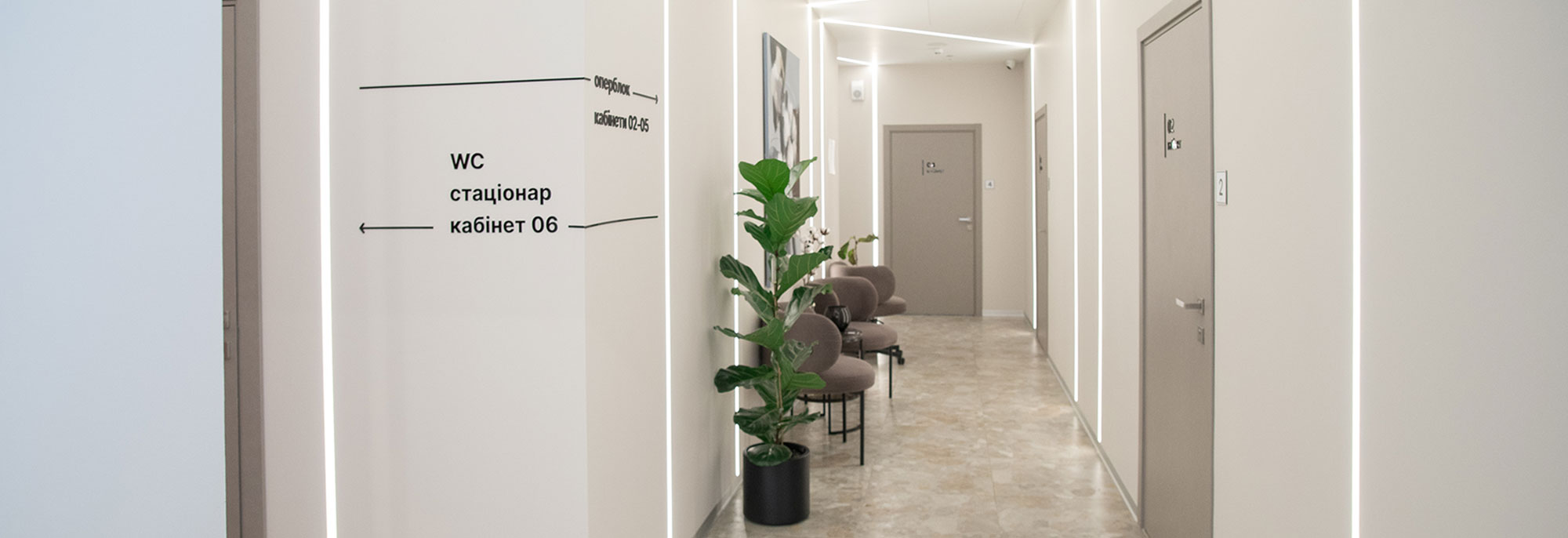 Детокс — Docber Clinic